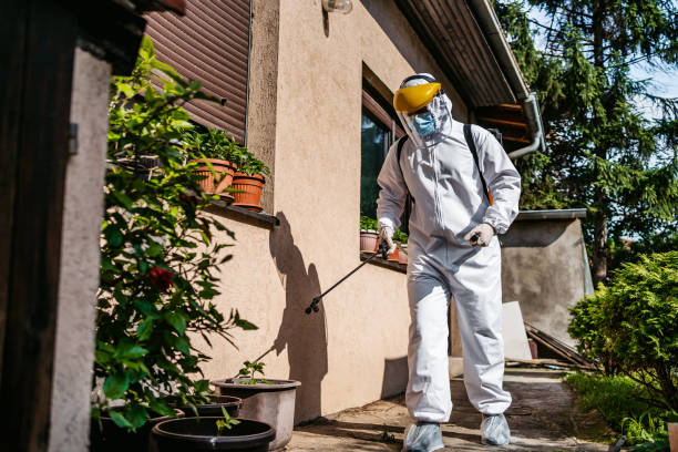 Wasp Removal Services in Lucasville, OH