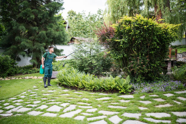 Best Affordable Exterminators  in Lucasville, OH