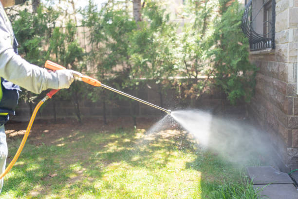 Best Affordable Pest Control Services  in Lucasville, OH