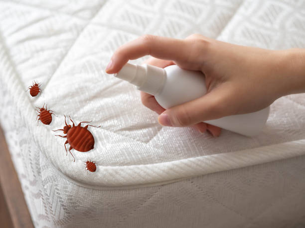 Best Pest Prevention Services  in Lucasville, OH
